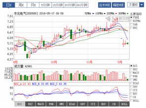 请问000585东北电器这个股，后市如何？
