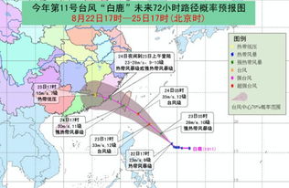 台风白鹿即将登陆