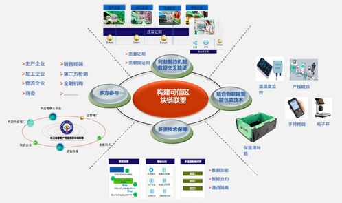 为区块链游戏领域赋能,区块链赋能实体经济的路径与前景