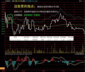 做股票交易老是判断失误，哪里有实时的走势图，最好能带专家点评的？