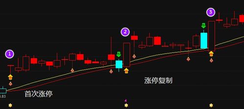 中石油有没涨停过?