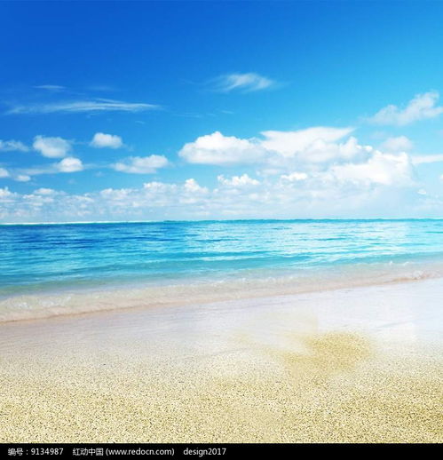 蓝色唯美海滩背景主图设计PSD素材免费下载 红动网 