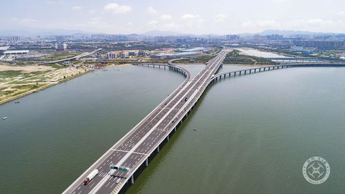 世界最长跨海大桥青岛胶州湾大桥通车 米粒分享网 Mi6fx Com