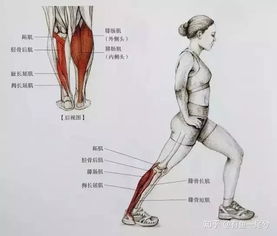 怎样纠正走路小腿外翻 