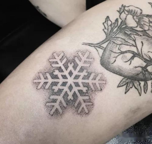 Tattoo 纹身素材 雪花 