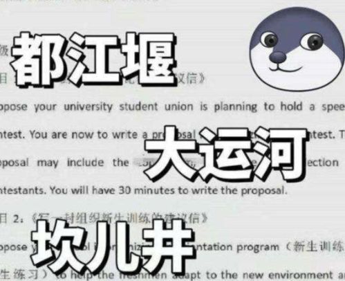 四六级 将实行新规定,一类学生将无缘2022考试,你是否在其中