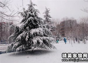 关于秒写冬季下雪的诗句