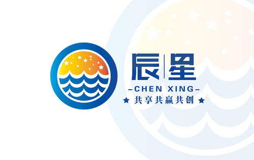 辰星 冷冻食品品牌LOGO 标志提案