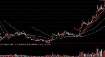 请详细解释下怎样在涨停板上涨追进和跌停版上出货?