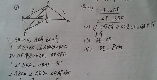 学生戏称 语文看了答案不想抄 数学抄了答案看不懂