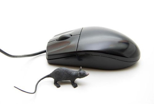微机中使用的鼠标器一般连接在计算机主机的什么上 