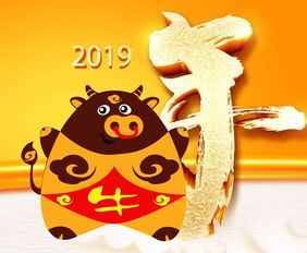 快来看看你的2019运程 麦玲玲 属猪 虎 蛇...要注意了