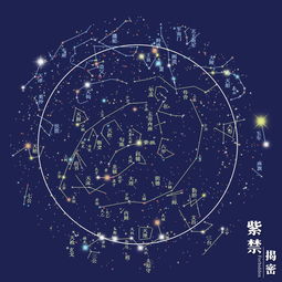 财帛宫紫微星七杀星