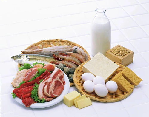 专家建议早餐应该多吃蛋白质，增强抵抗力(早餐增加蛋白质的食物有哪些)
