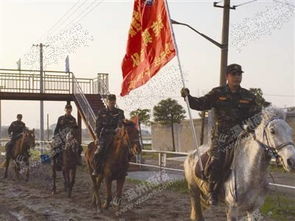 温州有了首支骑兵救援队 道路阻塞时送物资伤员 