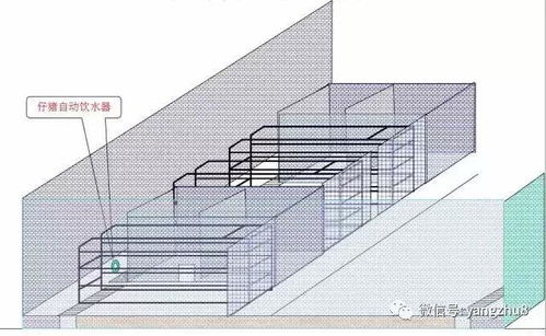 图文 猪舍布局设计图 细节尺寸图纸 ,猪场建设改造必备