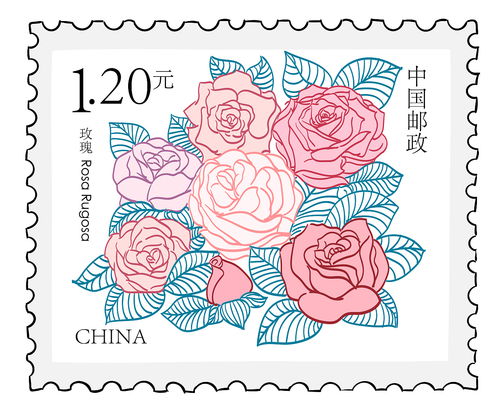 玫瑰邮票插画