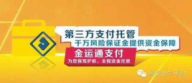 网上股票交易系统中，资金余额，可取余额，冻结金额是指什么意思？