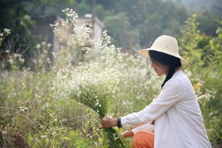 与丈夫隐居终南山的37岁女医生 