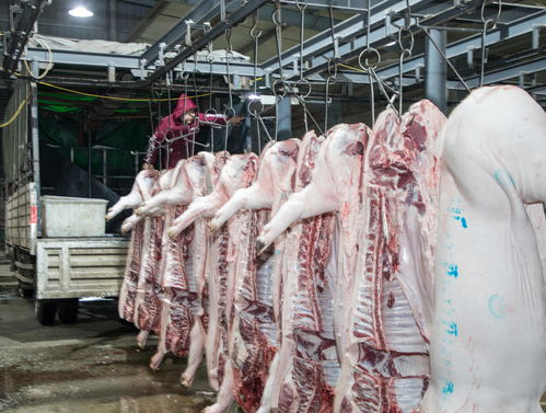 生猪期货上市后猪肉会不会上涨？