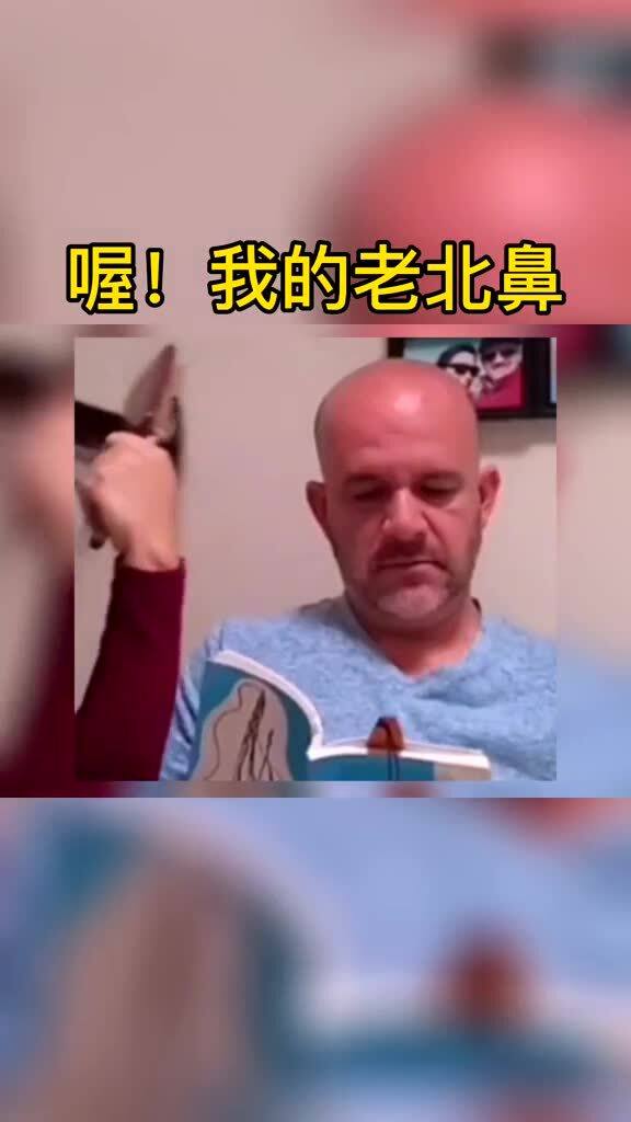 喔 我的老北鼻 