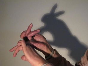 兔子的影子怎么做快 