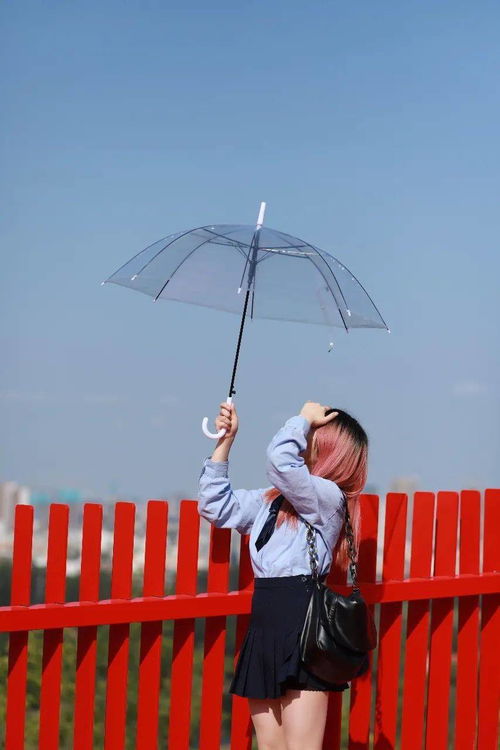 今日雨水 哪把花伞为你撑起