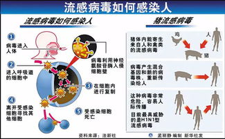 猪流感。。进天在中国出现了1例疑似病例。有人炒作医药板块会涨。这种说法。大家给评评。。