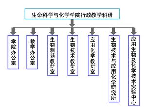 关于宗教信仰的科研机构的简单介绍(耶路撒冷宗教圣地)