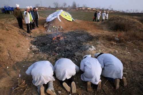 火葬是否意味着不能 入土为安 为啥农民宁可挨罚也要土葬