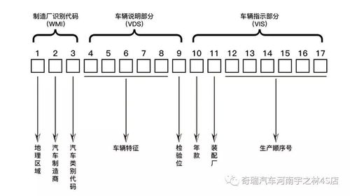 中石化八位代码是多少啊