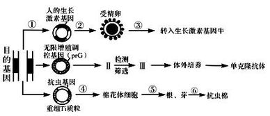 动物的成熟红细胞洗涤时是用的什么