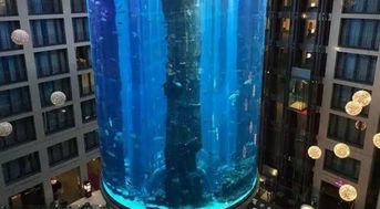 全世界 最大 的鱼缸,耗资一亿8层楼高,当地人 鱼缸鱼类才是最大看点
