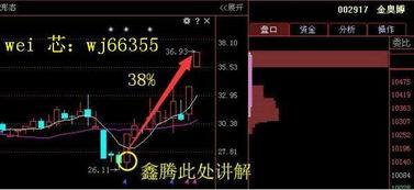 中润资源股票涨幅超过7%，黄金板块快速攀升