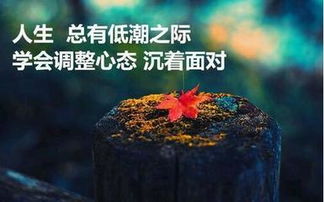 正能量励志语录精选 