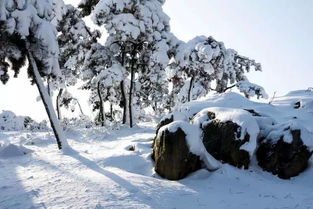 雪雪雪 瓜沥人盼了已久的雪,下周可能真的要来了 更糟心的是... 