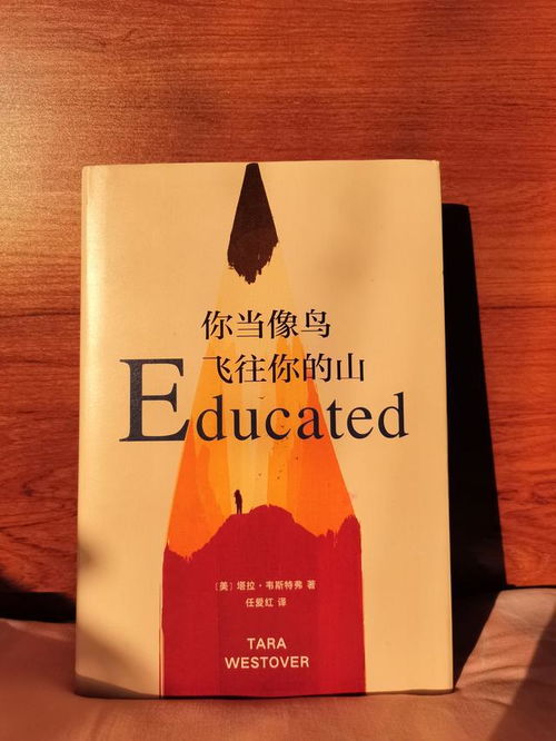 推荐给学生看的励志书,成年人可以这样读