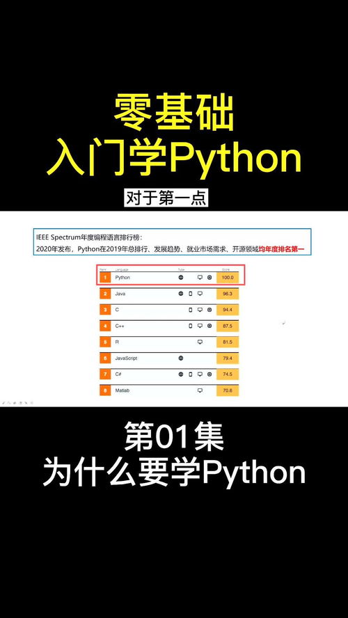 python课程学什么