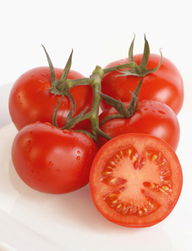 大粒利马豆种植方法,普罗旺斯西红柿的种植时间和方法
