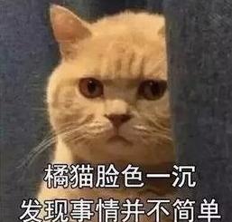 油猴是啥(油猴用处)