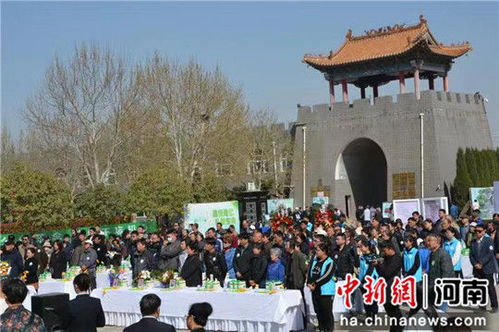 郑州市生态树葬公益项目荣获第九届中国公益节 公益践行奖