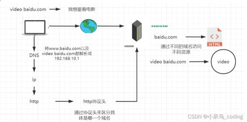 虚拟主机和域名差别(虚拟主机域名叫什么)