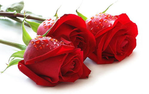 中年男人微信上三朵玫瑰 男的送三朵玫瑰花是代表什么