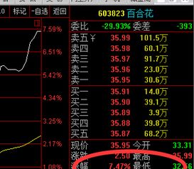 有哪些厉害的股票实战直播市？