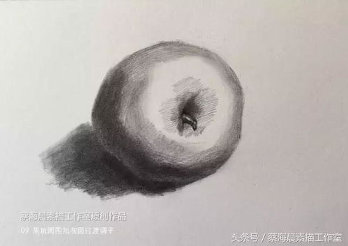 蔡海晨素描步骤稿10 素描苹果的画法