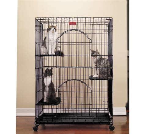 分享家里备猫笼的实用原因,放养家庭为何需要猫笼