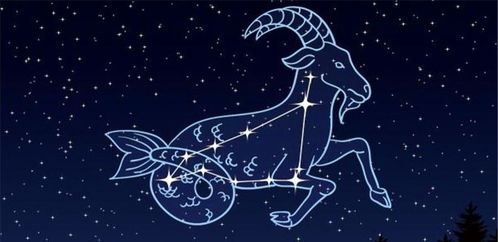 摩羯座和天蝎座 摩羯座的贵人星是什么星座
