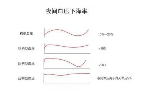 为什么同一天测血压显示不同数值 科学测量血压 掌控自身健康