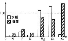 百分标示量与百分含量的区别