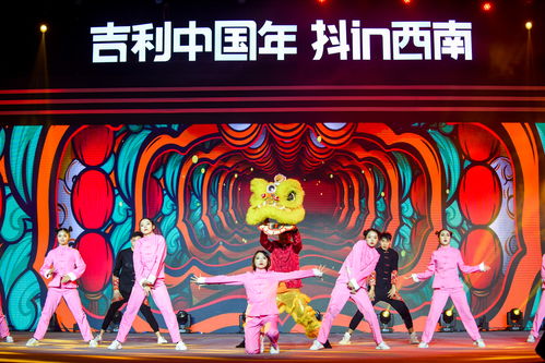 2020第一场狂欢盛宴 吉利中国年抖in西南新年音乐夜躁动成都